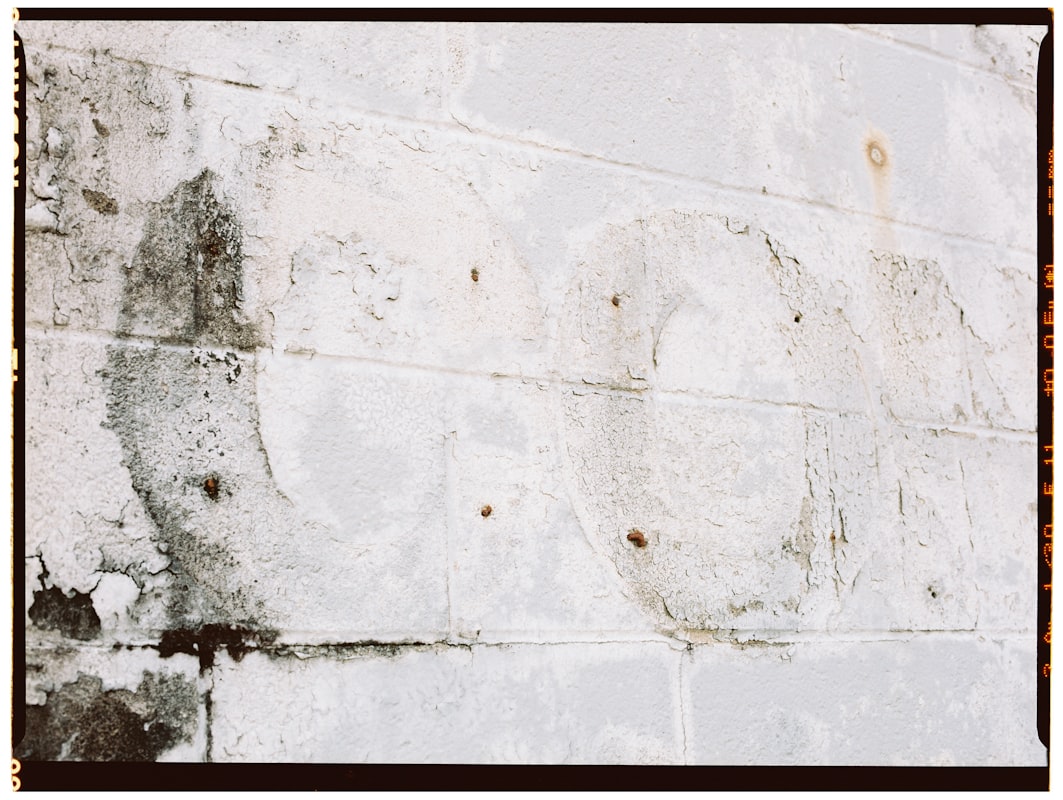 Flood Cleanup service in Bowling Green, KY