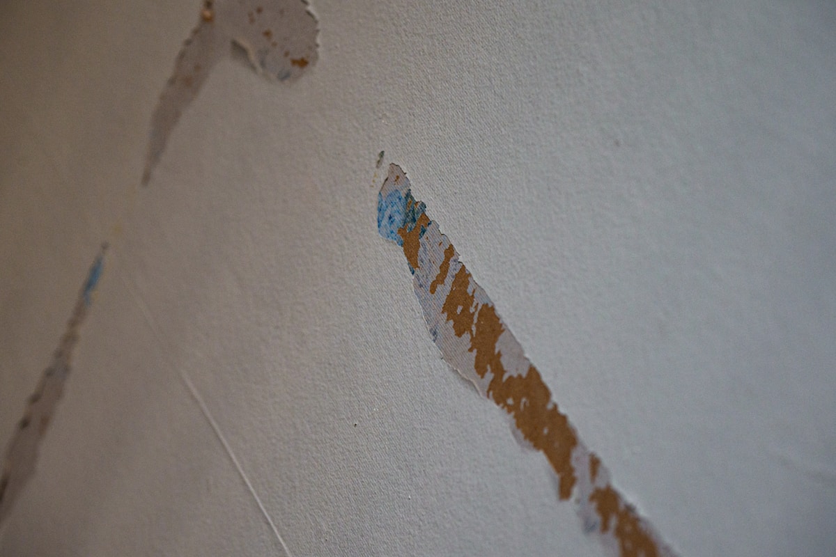 Mold Remediation service in Bowling Green, KY